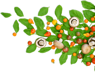 Cafe Spice